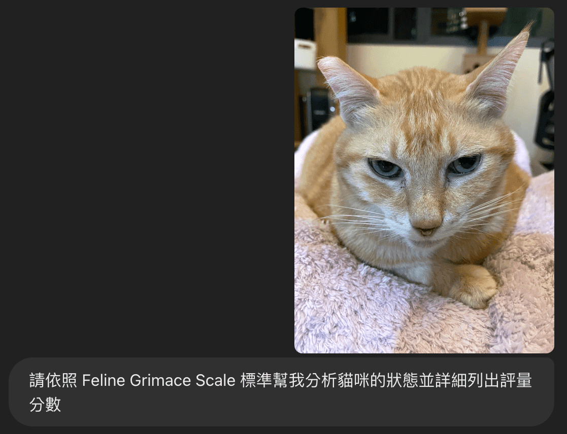 圖3. 提供主子清晰的大頭照